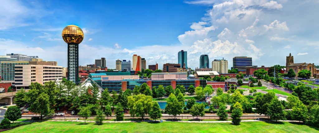 Knoxville, Here We Grow